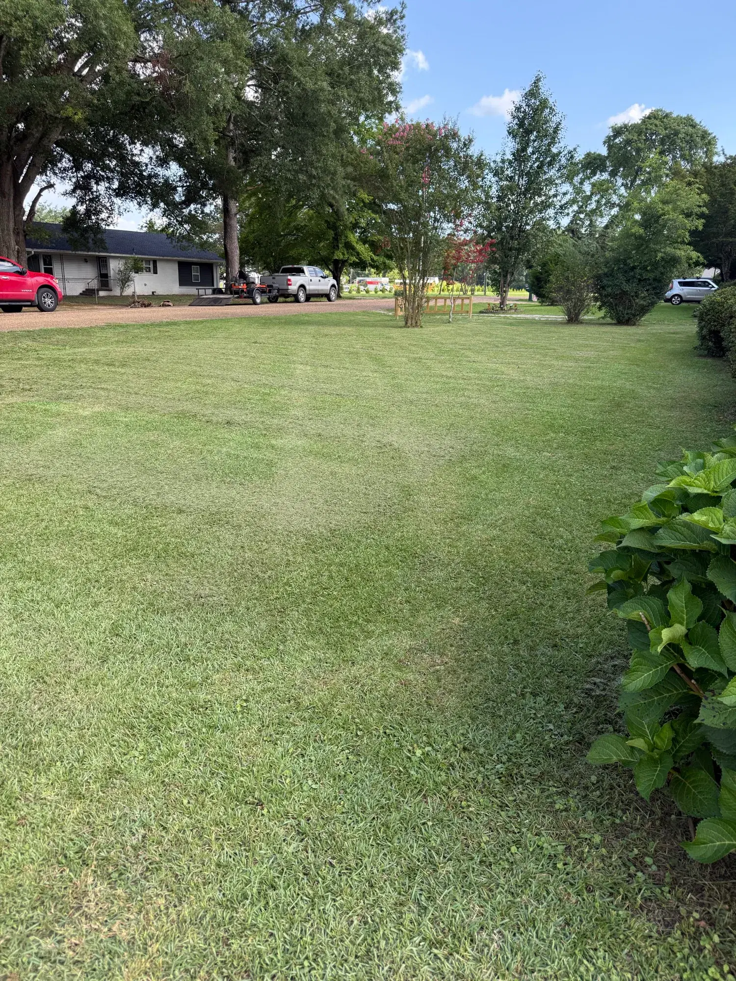 Well maintained residential property with manicured lawn and landscape beds