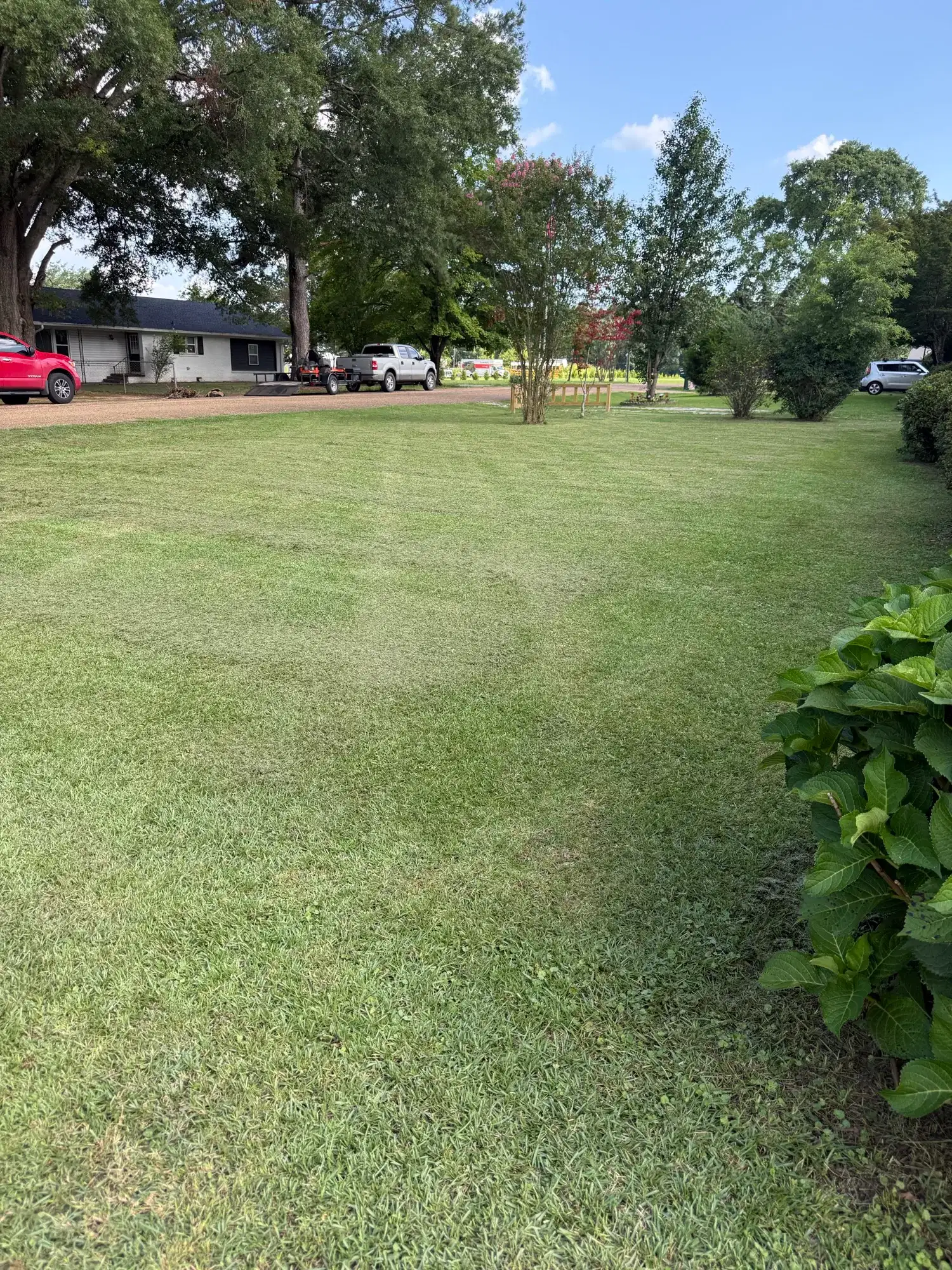Green West Alabama residential property after professional outdoor care