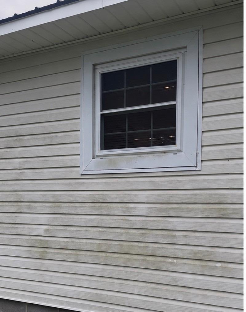 Algae stained vinyl siding before soft washing